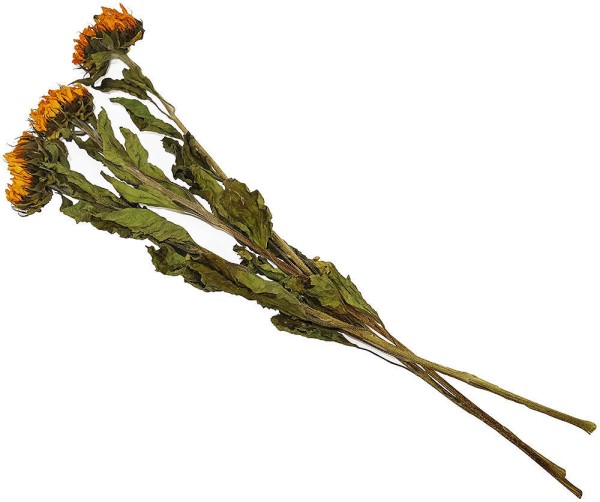 Sonnenblumen getrocknet Trockenblumen Natur Bund 3 Stück Trockenblumenstrauß