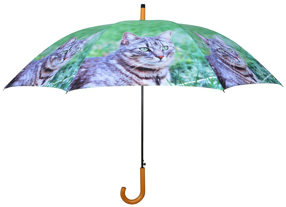 Regenschirm für 2 Personen Stockschirm Katze Grau getigert
