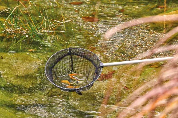 Oase Fischkescher Teichkescher Rund 25cm