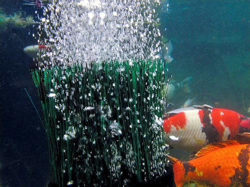 Oase Oxytex Set 500 Cws Belüfter + Belüftungspumpe