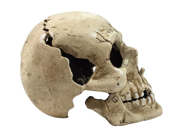 Totenkopf Deko Gusseisen Schädel Modell beweglich Gothic Halloween Skelett