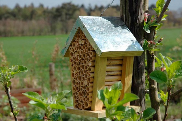 Insektenhotel mit Blechdach Verzinkt Bienenhaus Nisthilfe Überwinterung