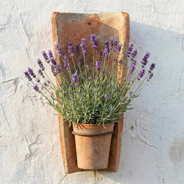 Hängetopf Echt Antiker Dachziegel Wand Blumentopf Terracotta Landhausstil