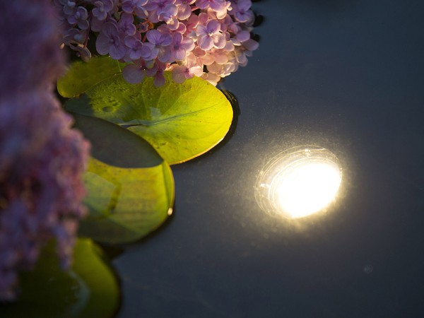 Ubbink Aqualight 30 LED Unterwasser Teichbeleuchtung warmweiss