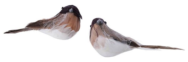 Deko Vögel mit Clip Künstlich Weiß/Braun Federschwanz 2 Stück