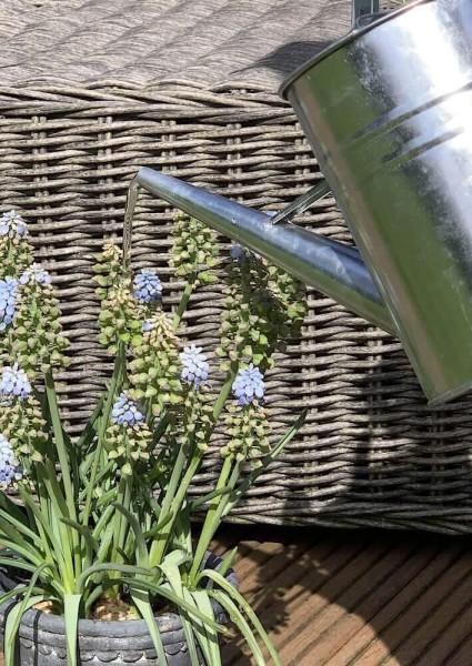 Gießkanne aus Zink Metallgießkanne Vintage-Landhausstil Innen und Außen 1,9 L