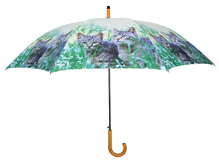 Regenschirm für 2 Personen Stockschirm Katzen Grau getigert Regenschirm für 2 Personen Stockschirm Katzen Grau getigert