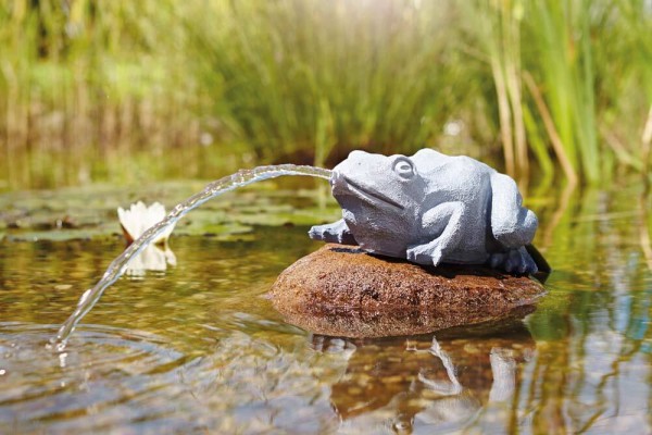 Oase Wasserspeier Frosch Tierfigur
