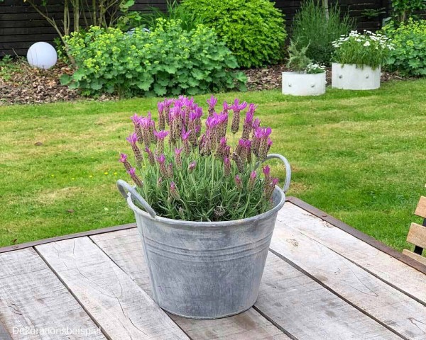 Zinkeimer Pflanztopf Zink Rund mit Griffen Vintage Landhausstil Grau