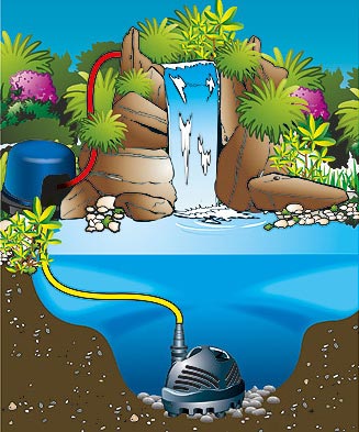 Teichfilter kaufen oder selber bauen? Hier alle Informationen lesen
