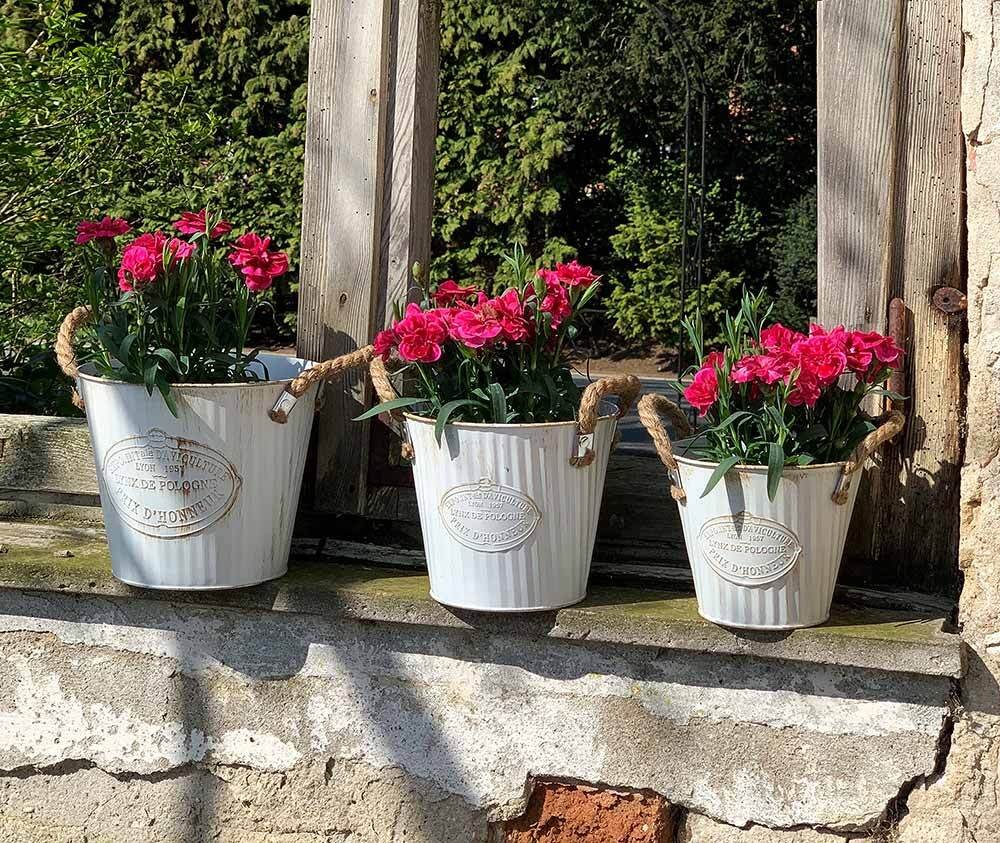 Pflanztopf Blumentopf Set 3 Stück Pflanzeimer Metall Weiß Vintage-Stil Landhaus