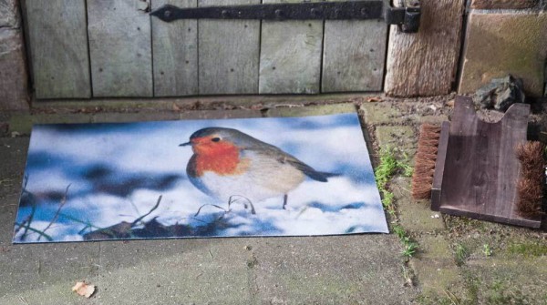 Fußmatte Rotkehlchen Fussabtreter Vogel-Motiv Gummi Fussmatte 75x45cm