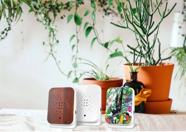 Junglebox Teak Style Holz Dschungelgeräusche mit Bewegungsmelder Entspannung