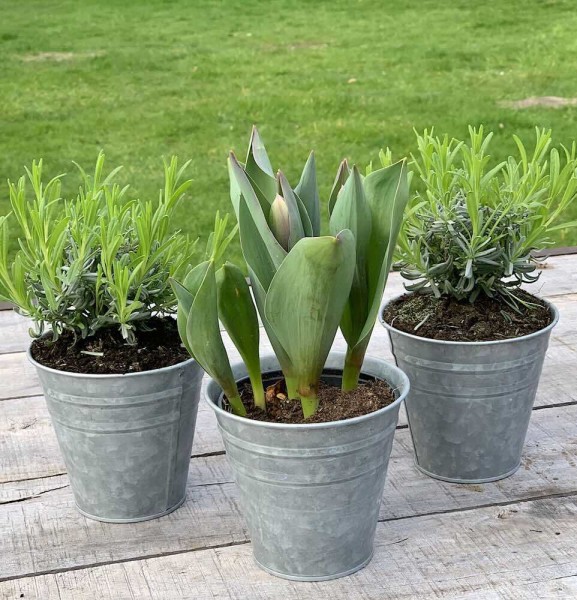 Blumentopf Set Zink 3 Stück Pflanztopf Zinktopf Vintage Ø 12,5 cm