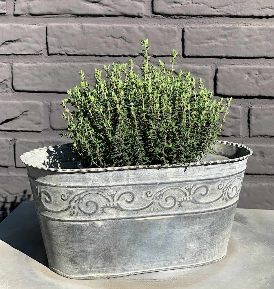 Zink Blumentopf Oval Verzierung Vintage-Stil Pflanztopf Landhausstil 28 cm günstig online kaufen