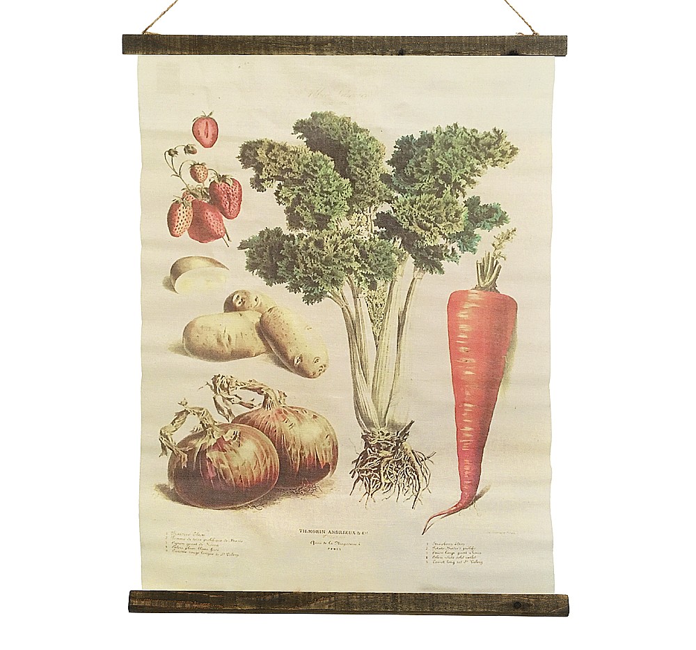 Schulwandkarte Wandbild Biologie Gemüse Vintage Veggie Leinwand 72x55cm