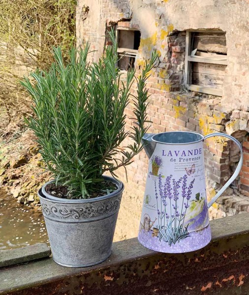 Deko Krug Zink Lavendel Zinkkrug Gießkanne Zinkkanne Wasserkrug Landhaus Vintage