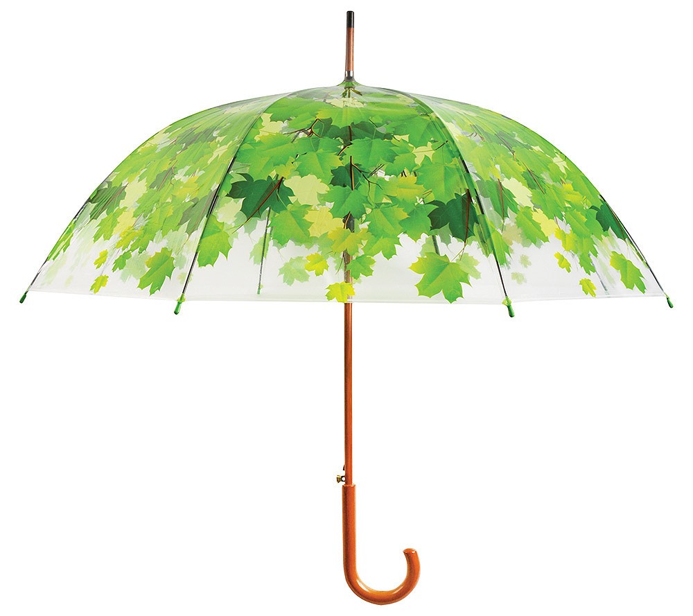 Image of Regenschirm Blätter Baumkrone Transparent Stockschirm Durchsichtig