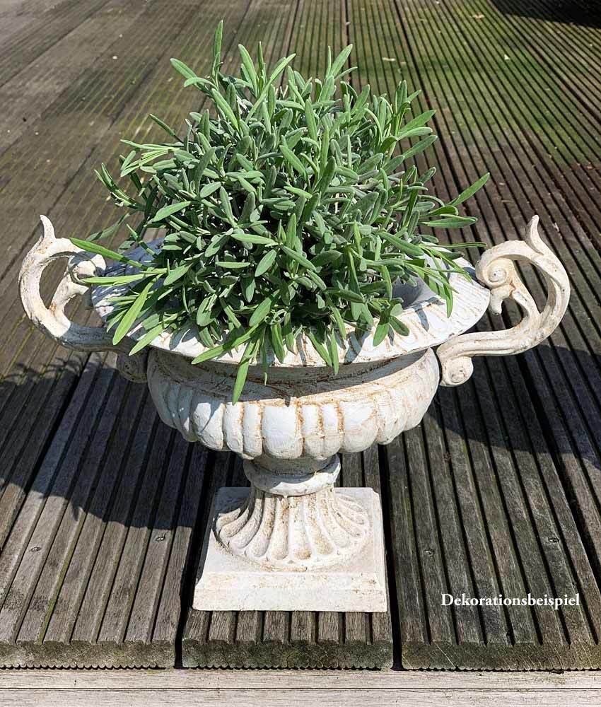 Französische Vase Gusseisen Shabby Weiß Henkel Pflanztopf Amphore Antik-Stil