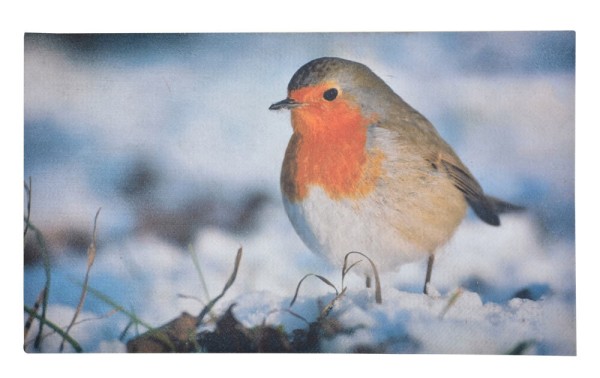 Fußmatte Rotkehlchen Fussabtreter Vogel-Motiv Gummi Fussmatte 75x45cm
