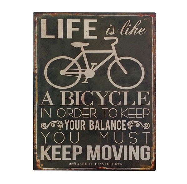 Blechschild Albert Einstein „Life is like a bicycle…“ Nostalgie 25x33cm