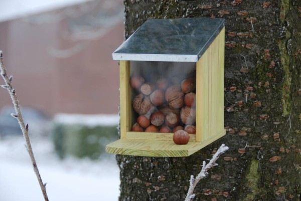 Eichhörnchen Futterhaus aus Holz Futterspender Futterautomat