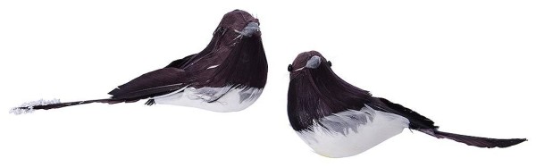 Deko Vögel mit Clip Künstlich Weiß/Schwarz Federschwanz 2 Stück