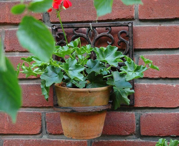 Blumentopfhalter Gusseisen Antik-Braun Pflanzenhalter Wandtopfhalter 18cm