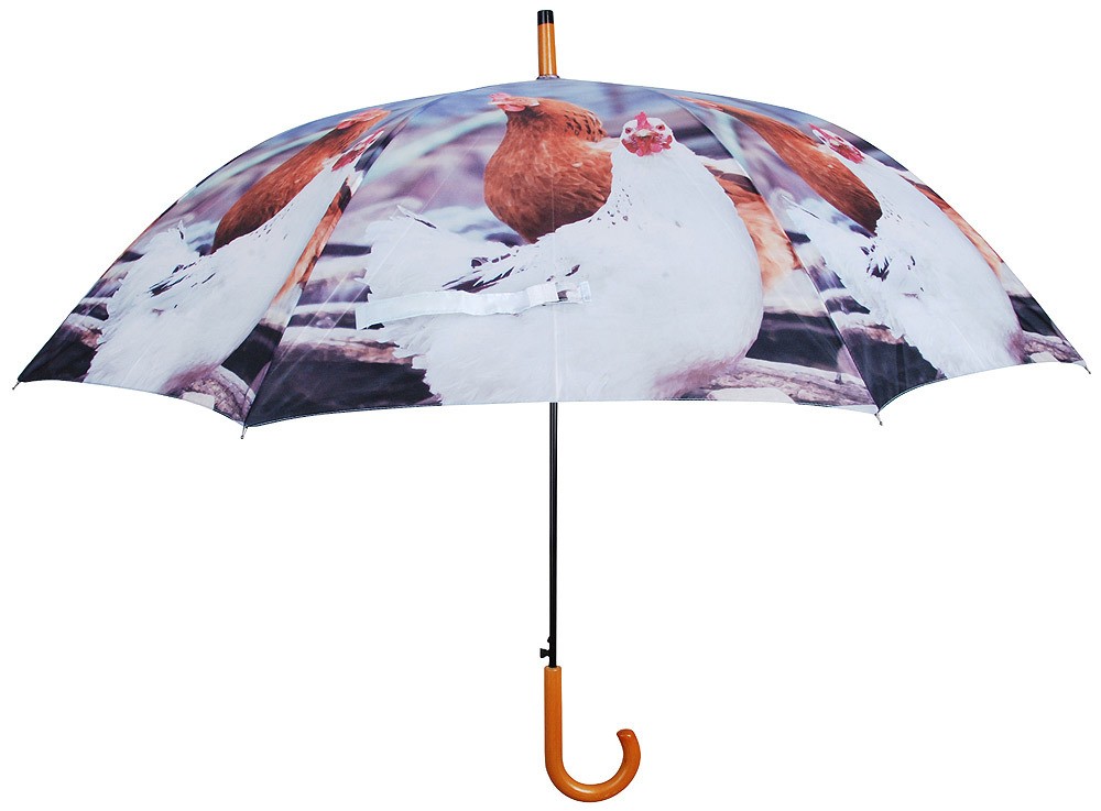 Regenschirm Hühner Stockschirm für 2 Personen Bauernhof Ø 120cm