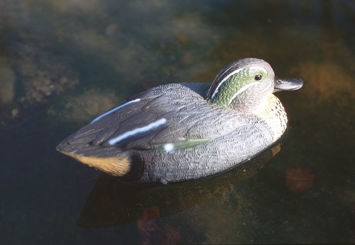 Oase Teichfigur Krickente Erpel Dekofigur