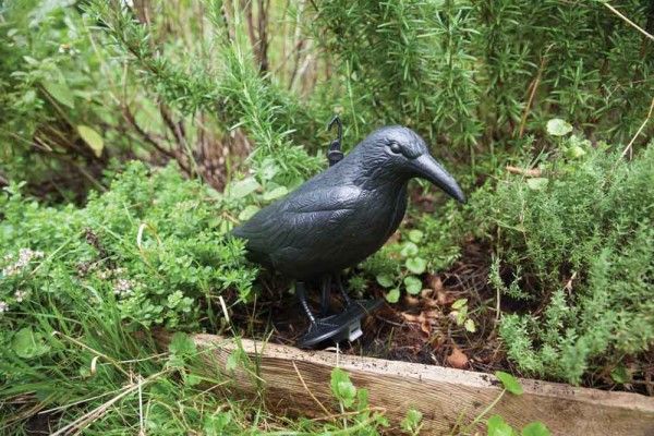 Vogelschreck Krähe Taubenschreck Vogelscheuche Dekofigur Rabe Schwarz