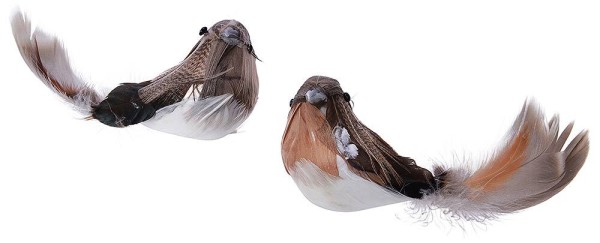 Deko Vögel mit Clip Künstlich Mehrfarbig Federschwanz 2 Stück