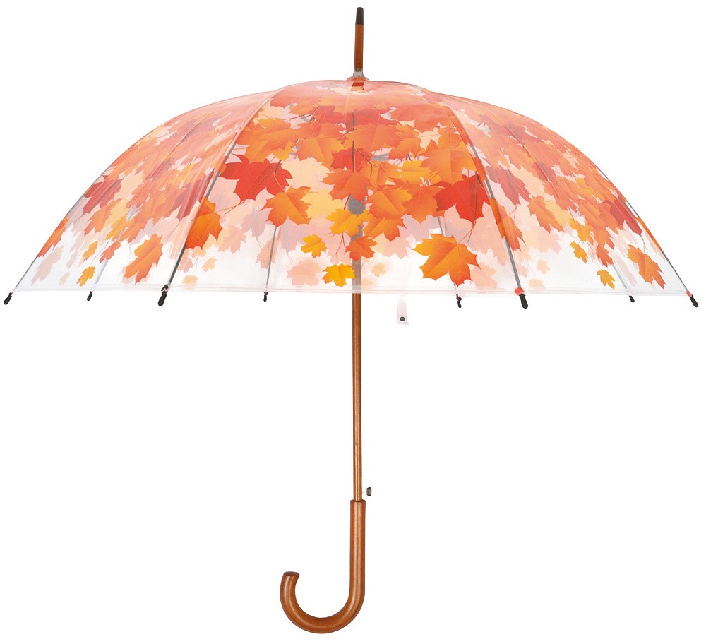 Image of Regenschirm Blätter Herbst Laub Transparent Stockschirm Durchsichtig