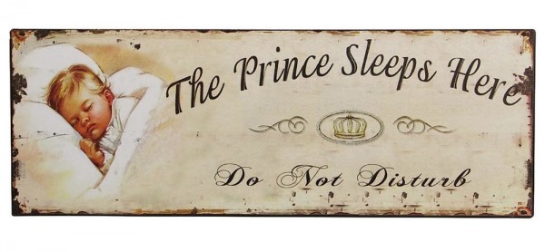 Blechschild The Prince Sleeps Here Vintage Dekoschild Bitte nicht stören 36x13cm