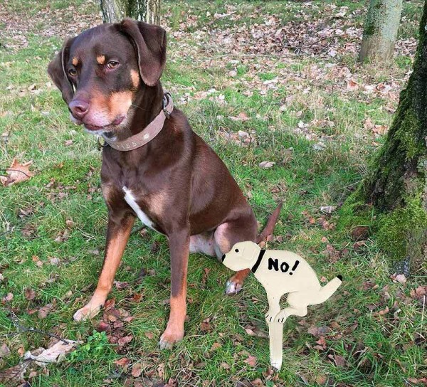 Hundehaufen Verboten Schild NO! Hundekot Verbotsschild Erdspieß Gusseisen Weiß