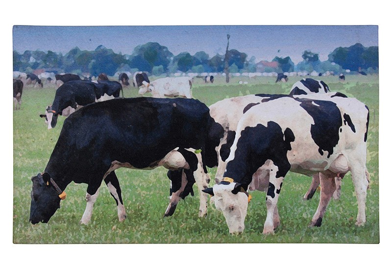 Fußmatte Kuh Bauernhof Fußabtreter Kuhmotiv Türvorleger Kühe 75 cm x 45 cm