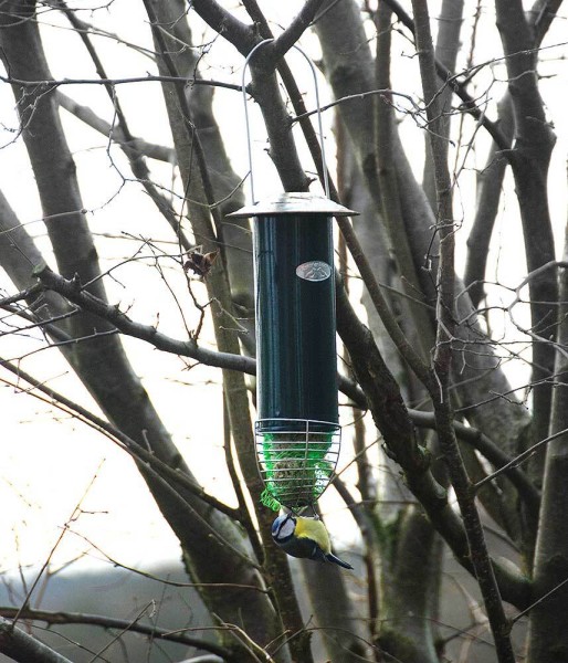 Meisenknödelautomat Vogelfutterautomat Futterstation Vogelfutterspender Metall Grün