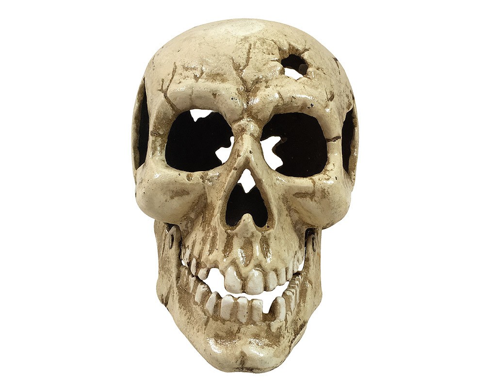 Totenkopf Deko Gusseisen Schädel Modell beweglich Gothic Halloween Skelett