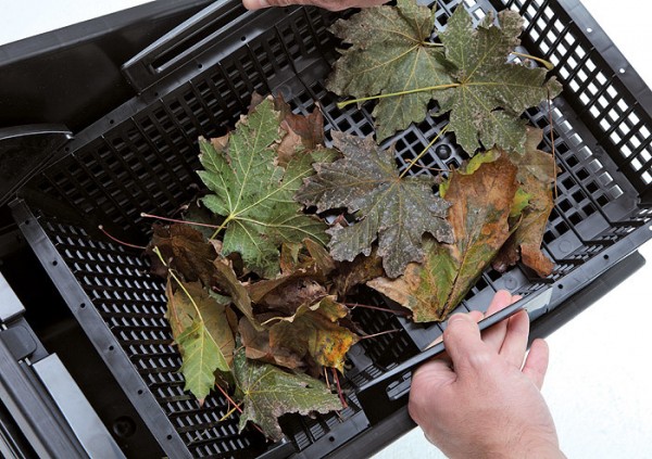 Oase Biosys Skimmer + Teich Einbauskimmer Felsoptik