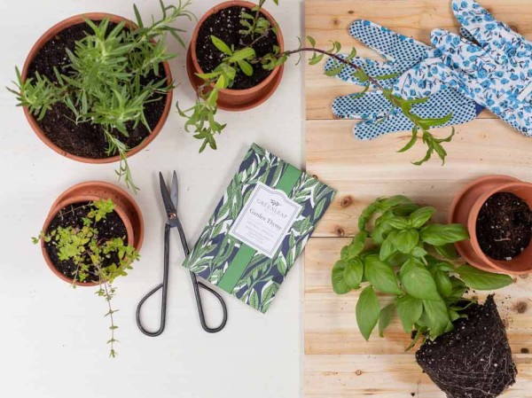 Greenleaf Duft Sachet Large - Garden Thyme - Duftsäckchen