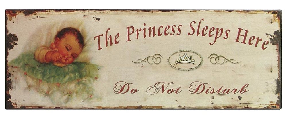 Nostalgie Blechschild "The Princess Sleeps Here" Kinderzimmer Dekoschild 36x13cm