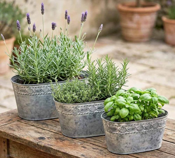 Zinktopf Pflanztopf Zink Blumentopf Oval Lang Landhausstil Antik-Grau