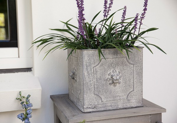 Pflanztopf Quadratisch Löwenkopf Pflanzkübel Eisen Grau Patiniert