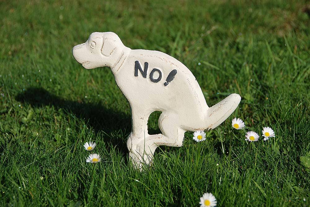 Hundehaufen Verboten Schild NO Hundekot Verbotsschild Erdspieß Gusseisen Weiß 