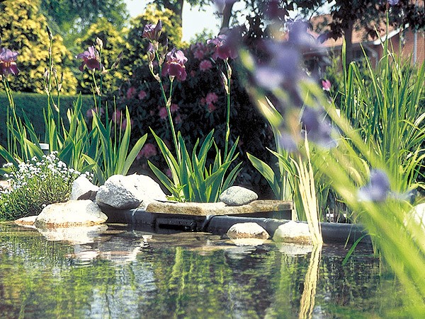 Oase Biosys Skimmer + Teich Einbauskimmer Felsoptik