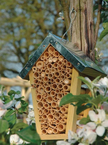 Insektenhotel mit Blechdach Verzinkt Bienenhaus Nisthilfe Überwinterung