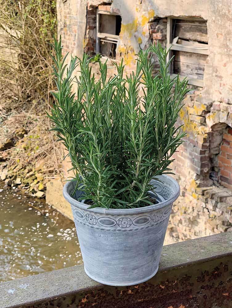 Zink Blumentopf Vintage Stil Rund Pflanztopf Übertopf Landhaus Grau Ø 19cm