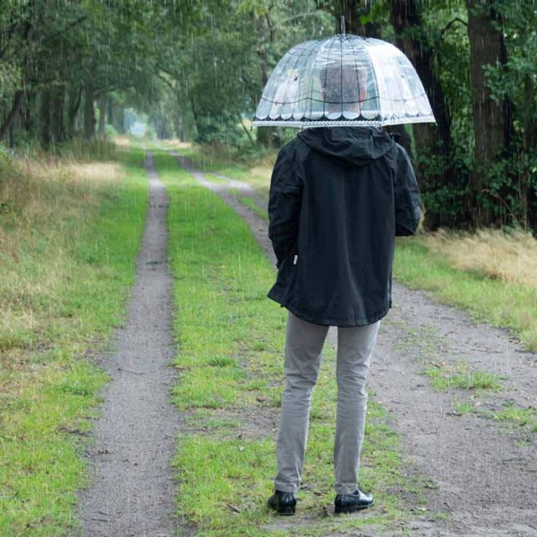 Regenschirm Kakadu Vogelkäfig Transparent Stockschirm Durchsichtig