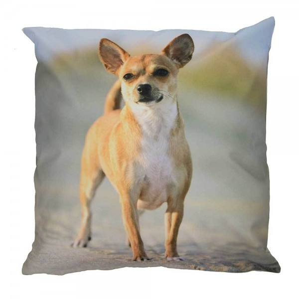 Outdoor Kissen Hund Welpe Gartenkissen Wasserabweisend kaufen