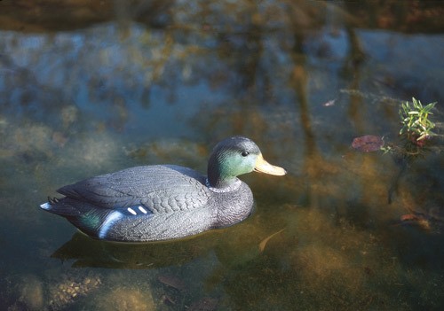 Oase Teichfigur Stockente Erpel Dekofigur